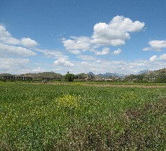 Trips; Turkey; Aspendos aqueduct