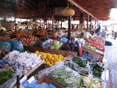 Trips; Turkey; Fethiye