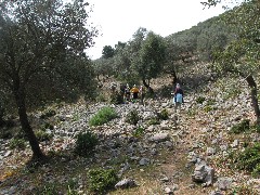 Trips; Turkey;