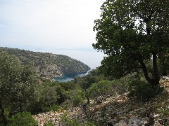 Trips; Turkey;