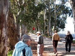 Trips; Turkey; Ruth Dorrough; Vernon (Vern) Char; Adnan Duvenci; Diane Sengstock;