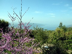 Trips; Turkey;