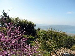 Trips; Turkey;