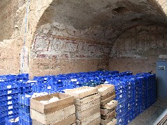 Trips; Turkey; Ephesus; Terrace House