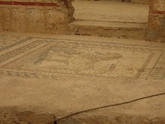Trips; Turkey; Ephesus; Terrace House