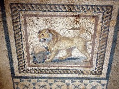 Trips; Turkey; mosaic of lion; Ephesus; Terrace House