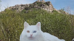 Turkey; Van Kalesi Fortress