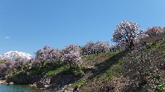 Turkey; Akdamar Island;