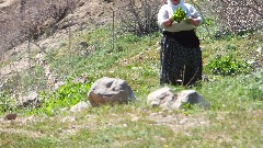 Turkey; Akdamar Island;