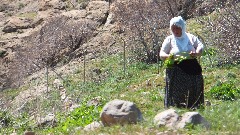 Turkey; Akdamar Island;