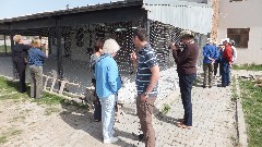 Turkey; Van Cats