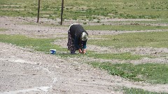 Turkey; Ani Ancient Armenian Capitol