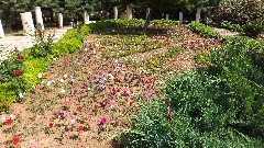 St Paul s Well Tarsus Turkey