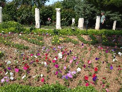 St Paul s Well Tarsus Turkey