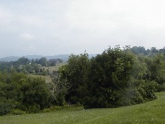 Virginia