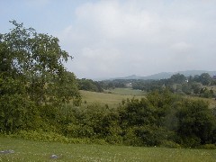 Virginia