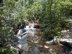 Ruth Dorrough; Trips Virginia Jun 2004 Belfast Trail