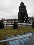 The National Christmas Tree; Washington DC 2005 Trips