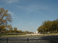 Trips Washington DC 2005