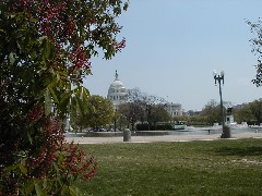 Trips Washington DC 2005 capital building