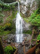 Waterfall; Trips; Washington State; Olympia National Park; rotated
