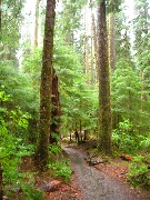 Washington State; Olympic National Park; rotated
