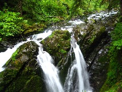 Sol de Luc Waterfall; Washington State; Olympic National Park