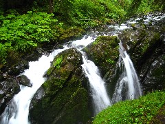 Sol Duc Waterfall; Washington State; Olympic National Park