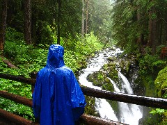 Ruth Bennett McDougal Dorrough; Sol Duc Waterfall; Washington State; Olympic National Park