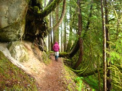 Washington State; Olympic National Park