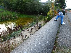 Ducks; Washington State;