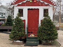 cat; Santa s House; Coach Street & Main Street; Canandaigua, NY