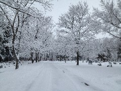 Woodlawn Cemetary Canandaigua