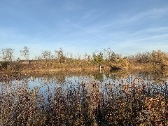 Lagoon Park; Canandaigua, NY