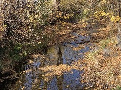 Sucker Brook on West Ave Canandaigua, NY