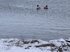 Below freezing swimmers in Canandaigua Lake