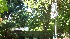 basketball net in the backyard of our house on West Avenue