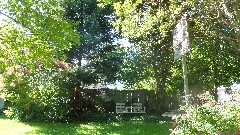 the backyard of our house on West Avenue