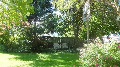 backyard of our house on West Avenue