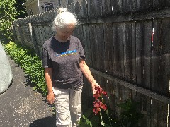 Daily Walk; Ruth Bennett McDougal Dorrough;