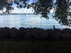 Daily Walk; ODW