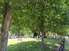 Cemetary West Avenue Canandaigua, NY; ODW