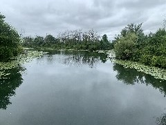 Canandaigua Outlet; ODW