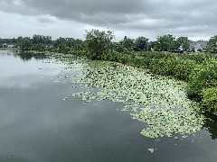 Canandaigua Outlet; ODW