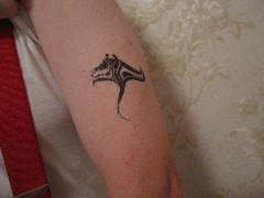 Dan Dorrough; Manta Ray Tatoo; Ruths 65th Birthday