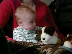 Jacob Wheeler; toy dog