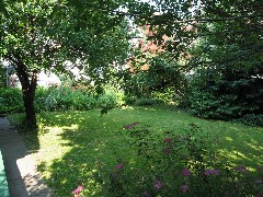 180 West Avenue Canandaigua NY; our back yard