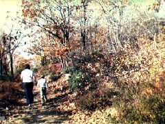 Dan Dorrough; Andy McDougal; Family