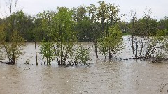 BT; Maumee River, OH