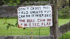 sign Don t cross this field unless you can do it in 5 9 sec 
The bull can do it in 6 sec flat; BT